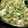 あっこネェ〜's cooksnap of when they made ピリ辛でご飯が進む☆本格麻婆豆腐.