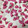 なつゆうまる♡'s cooksnap of when they made 【農家のレシピ】八重桜の塩漬けと桜塩.