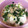 kopakopa58's cooksnap of when they made 簡単うまうま♡白菜と団子スープ♡.