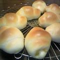 ゆうみぃ☆彡's cooksnap of when they made *パネトーネマザーｄｅバターロール*.