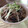 まるこわんわん's cooksnap of when they made 炒めてのせて♪豚挽肉とナスのう丼♪.