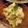 マユガリータ's cooksnap of when they made 空豆の緑の白和え.