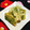 シャンプーハット's cooksnap of when they made いかの松笠焼き　青のり風味.
