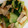 スイカが好物's cooksnap of when they made 豚肉入り青梗菜と厚揚げの中華風うま煮♬♫.