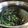 saya617's cooksnap of when they made 簡単！わらびの灰汁抜きナビ.