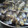 ｍａｍａｒａｄｅ's cooksnap of when they made 大量あさりの保存の仕方.