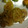 mitch♪'s cooksnap of when they made 豚のしょうが焼き.