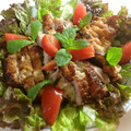 ともちゃんと３匹の猫's cooksnap of when they made 鶏もも肉の♪ネギ挟み焼き.