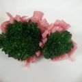 chieko333's cooksnap of when they made ビアハムで簡単♪飾りおかず！弁当隙間に♪.