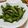 快くん's cooksnap of when they made スナップえんどうの塩こぶ生姜.