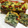 おびねぇ☆'s cooksnap of when they made ほうれん草たっぷりケークサレ♪.