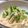 とん589's cooksnap of when they made 長いもサラダ✿めんたいソース和え.