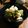 ちーまるっちょ's cooksnap of when they made アボカドごはん on クリームチーズ.