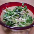 ケンキチ's cooksnap of when they made 超簡単！貝割れサラダ.