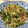 adomania's cooksnap of when they made ご飯のお供に！大根葉としらすのふりかけ.