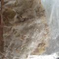 えりんぎぴーまん's cooksnap of when they made 豚挽肉味噌漬冷凍保存.