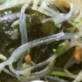 きらり流れ星's cooksnap of when they made ノンオイル＊春雨とワカメのさっぱりサラダ.
