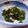 gojira_minira's cooksnap of when they made イカとわかめのサラダ.