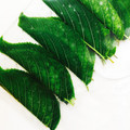 千歳緑's cooksnap of when they made 桜の葉の塩漬け.