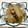 Haru Haru's cooksnap of when they made ごぼうとこんにゃくの土佐煮風.