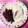 K0A9O0R8U♪'s cooksnap of when they made 豚と野菜のオイスターソース炒めご飯。.