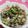りりりhappy's cooksnap of when they made 胸肉と胡瓜の梅昆布和え.