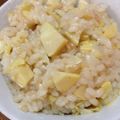Tropicana✧'s cooksnap of when they made 春が来た♪たけのこごはん.
