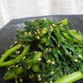 maruru-nn's cooksnap of when they made 簡単パパッと！栄養満点☆春菊のゴマあえ.