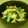 chieko333's cooksnap of when they made アオヤギとわけぎのぬた.