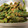 はらむし's cooksnap of when they made いんげんのゴマ和え.