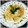Mocci。's cooksnap of when they made 簡単！ 新玉ねぎの おかか ポン酢和え♪.