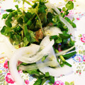 それいゆ★'s cooksnap of when they made クレソンと新タマネギのサラダ.