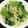 ＹＫＮ４．３'s cooksnap of when they made 小松菜ともやしの簡単おひたし.