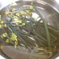 ソネチコ's cooksnap of when they made 春は山菜三昧❀ワラビのアク抜き.