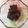 けいちゃんらいと's cooksnap of when they made 水ようかん.