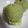 akishino81's cooksnap of when they made 抹茶ティラミスアイス.