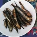 Giabbico's cooksnap of when they made めざしの佃煮.