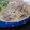 碧きりん's cooksnap of when they made ブタともやしの香味炒め.
