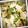miyabi's cooksnap of when they made 豆腐だけ！炒り丼　満腹^^.