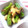Reina6's cooksnap of when they made エリンギ＆しし唐おかか炒め.