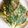 GUMICOTT's cooksnap of when they made たこ焼き粉でお好み焼き！.
