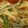 きらり流れ星's cooksnap of when they made 懐かし?切干大根の煮物.