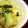 サトモユリア's cooksnap of when they made 青梗菜とエリンギのオイスター炒め.