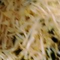 よっちゃんもち★'s cooksnap of when they made ごま油最高！ワカメともやしのジャコ炒め.
