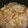 re_tan723's cooksnap of when they made 白菜とツナの煮物。.
