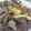 pyonkoちゃん's cooksnap of when they made 簡単★美味しぃ★白ねぎと豚肉の炒めもの.