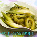 小梅チャン♡'s cooksnap of when they made 夏の一皿★ゴーヤとみょうがの簡単甘酢漬け.
