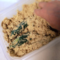わみねえ's cooksnap of when they made おいしい簡単ぬか漬け（ぬか床）の作り方.