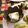 ふなここ's cooksnap of when they made 豆腐には塩＋ゴマ油.