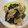 チョコチョコかえる's cooksnap of when they made 豚肉と青菜の塩炒め.